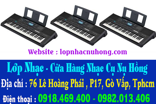 Sửa đàn organ chuyên nghiêp tại gò vấp, tphcm, sài gòn