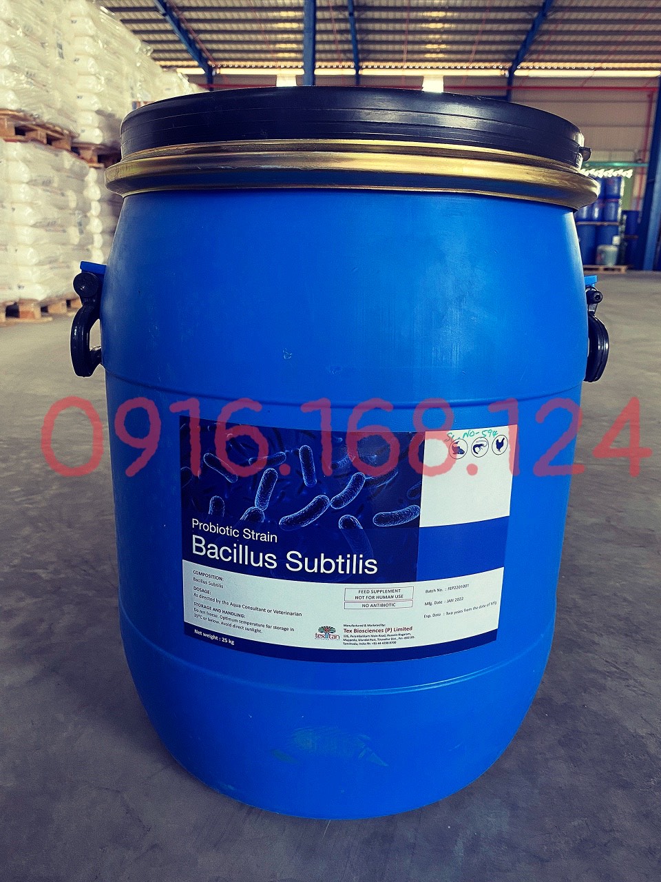 BACILLUS SUBTILIS – Siêu lợi khuẩn xử lý nước, hỗ trợ tiêu hóa