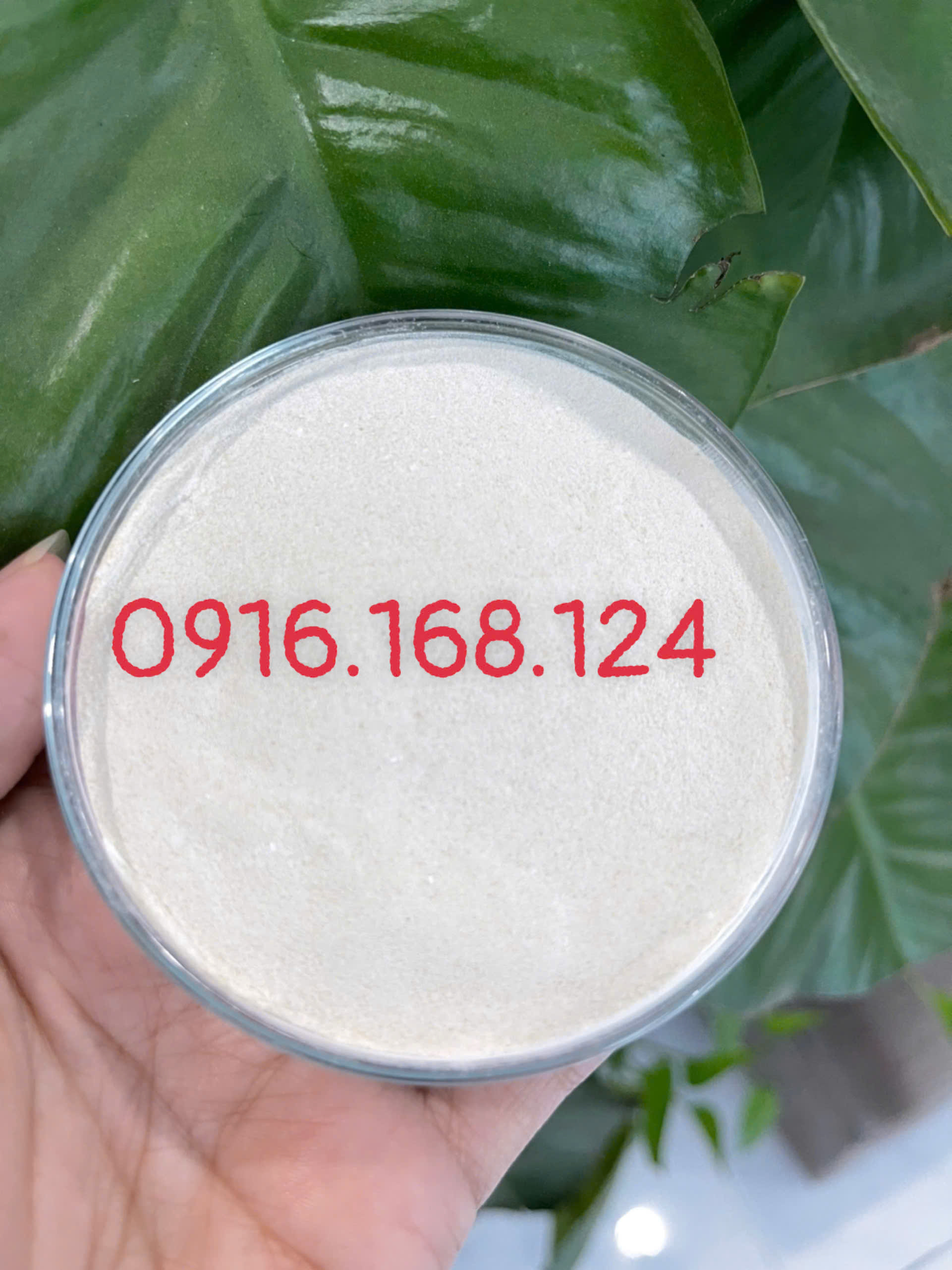 OPTIPRO – MEN VI SINH ĐƯỜNG RUỘT ĐẬM ĐẶC